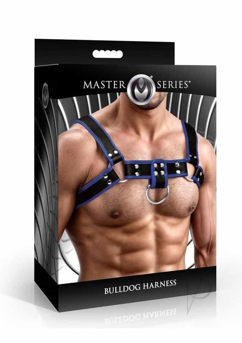 Ms Bulldog Harness Blue product image